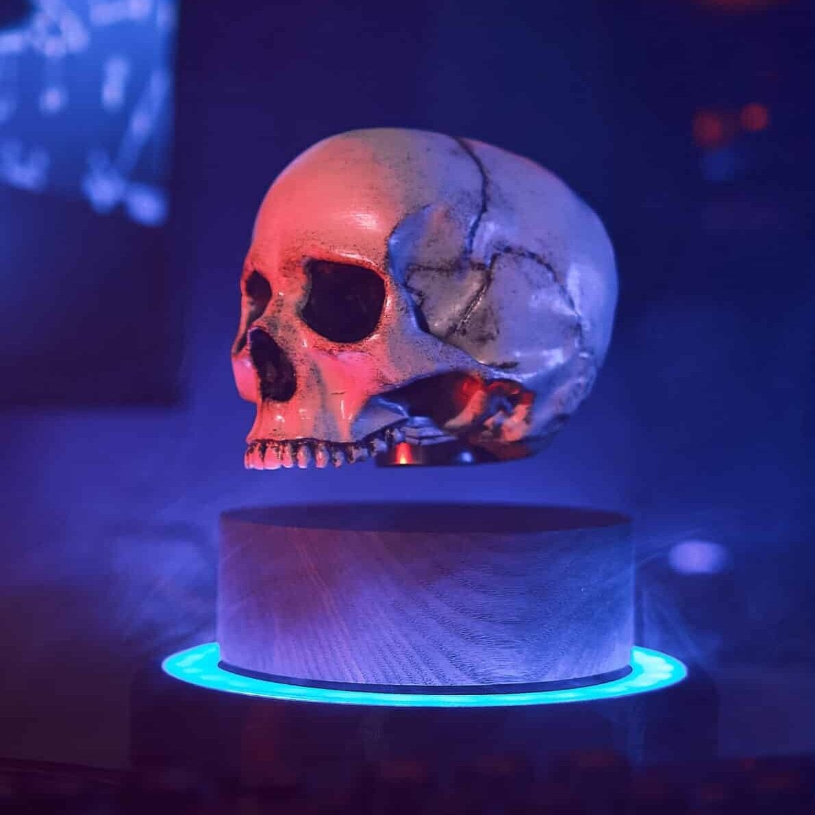Floating Skull Levitating Hovering Home Decor