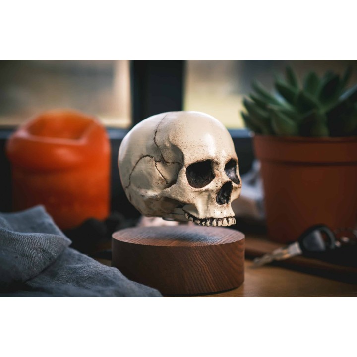 Floating skull levitating hovering home decor 16