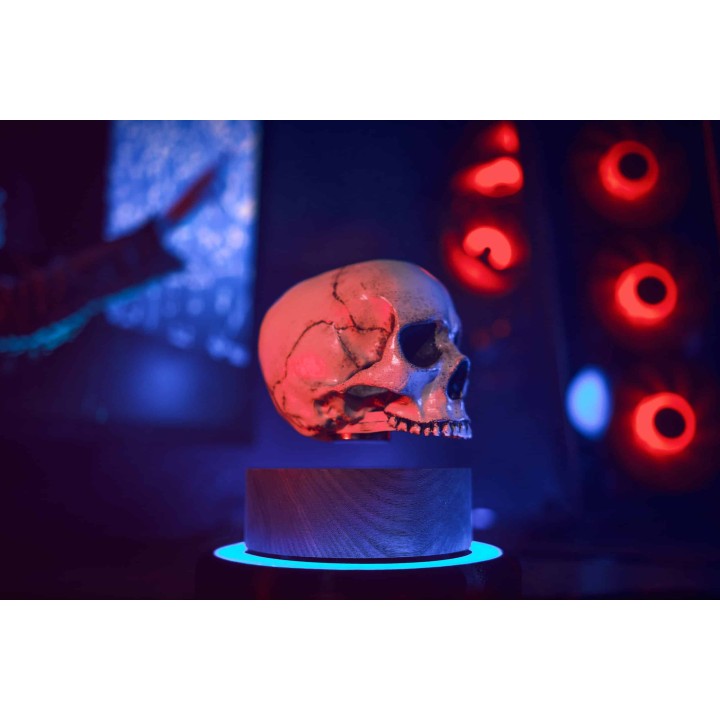 Floating skull levitating hovering home decor 8