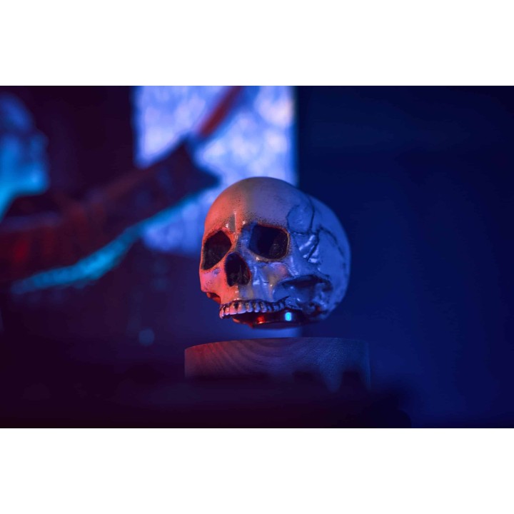 Floating skull levitating hovering home decor 9