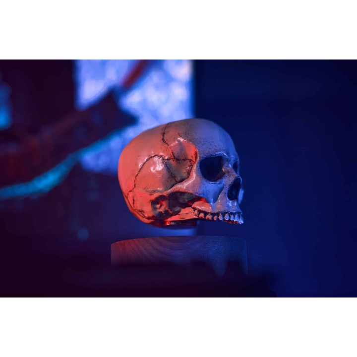 Floating skull levitating hovering home decor 10