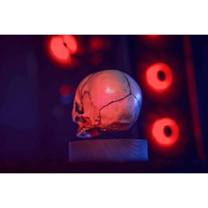 Floating skull levitating hovering home decor 13