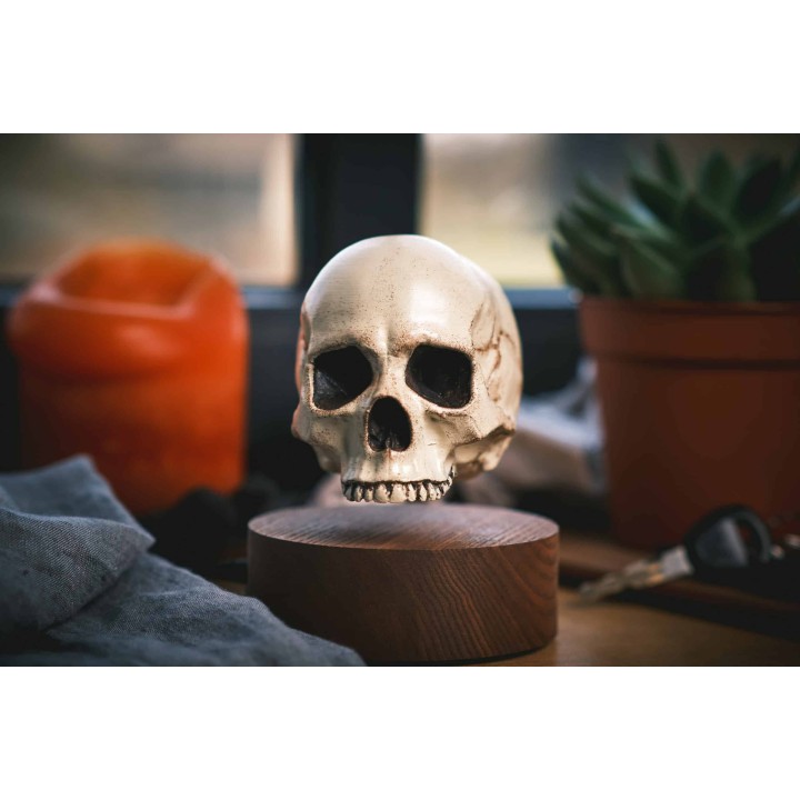 Floating skull levitating hovering home decor 19