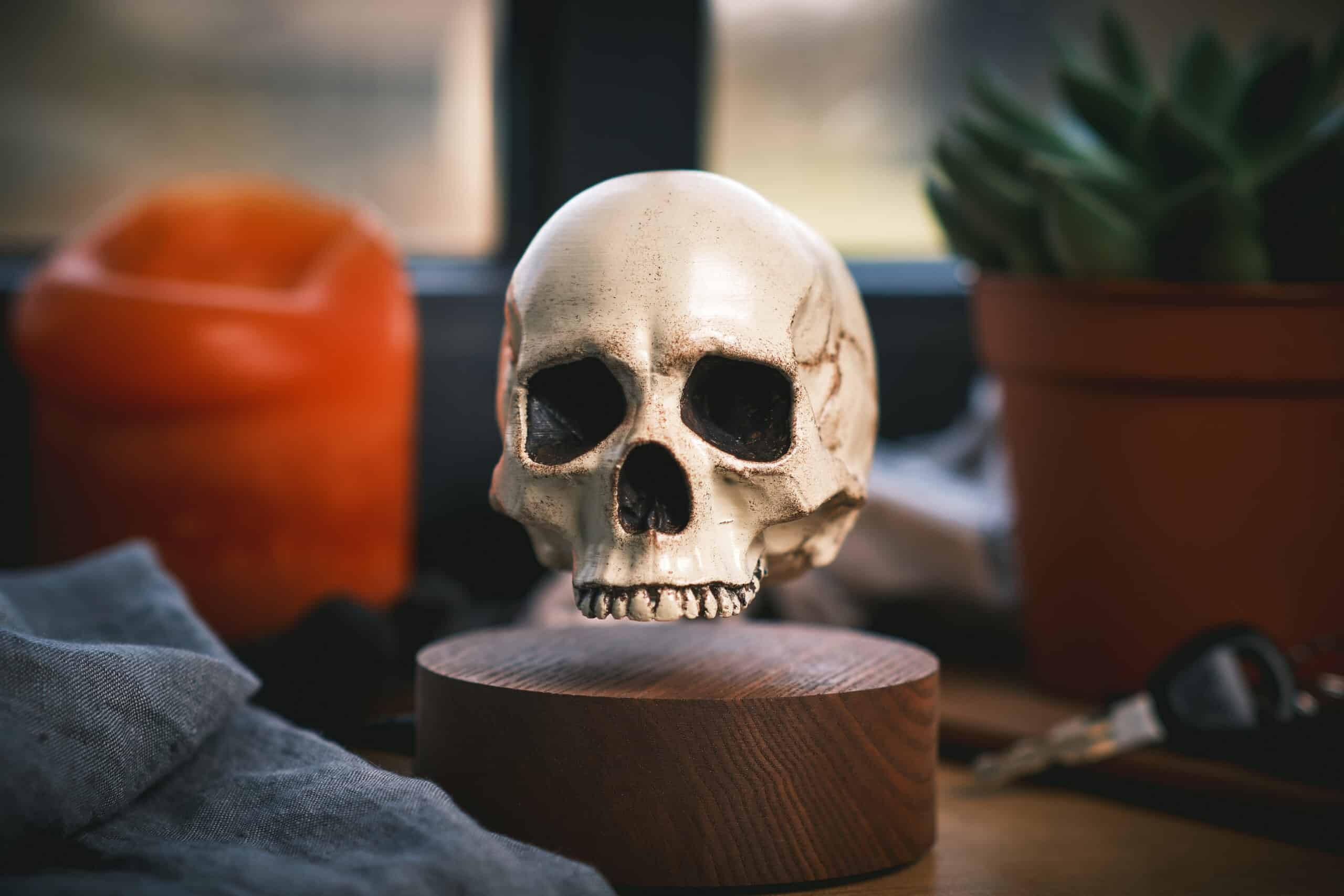 Floating skull levitating hovering home decor 19