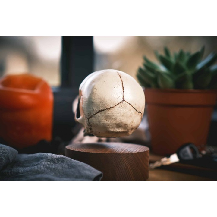 Floating skull levitating hovering home decor 15