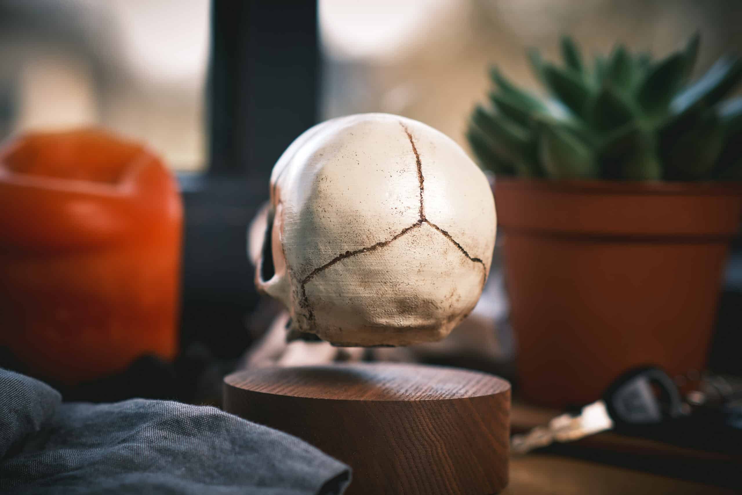 Floating skull levitating hovering home decor 15