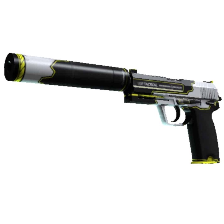 CS GO - USPS  - Torque  (Pre-Order)
