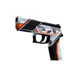 P250 (3)
