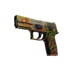 P250 (6)