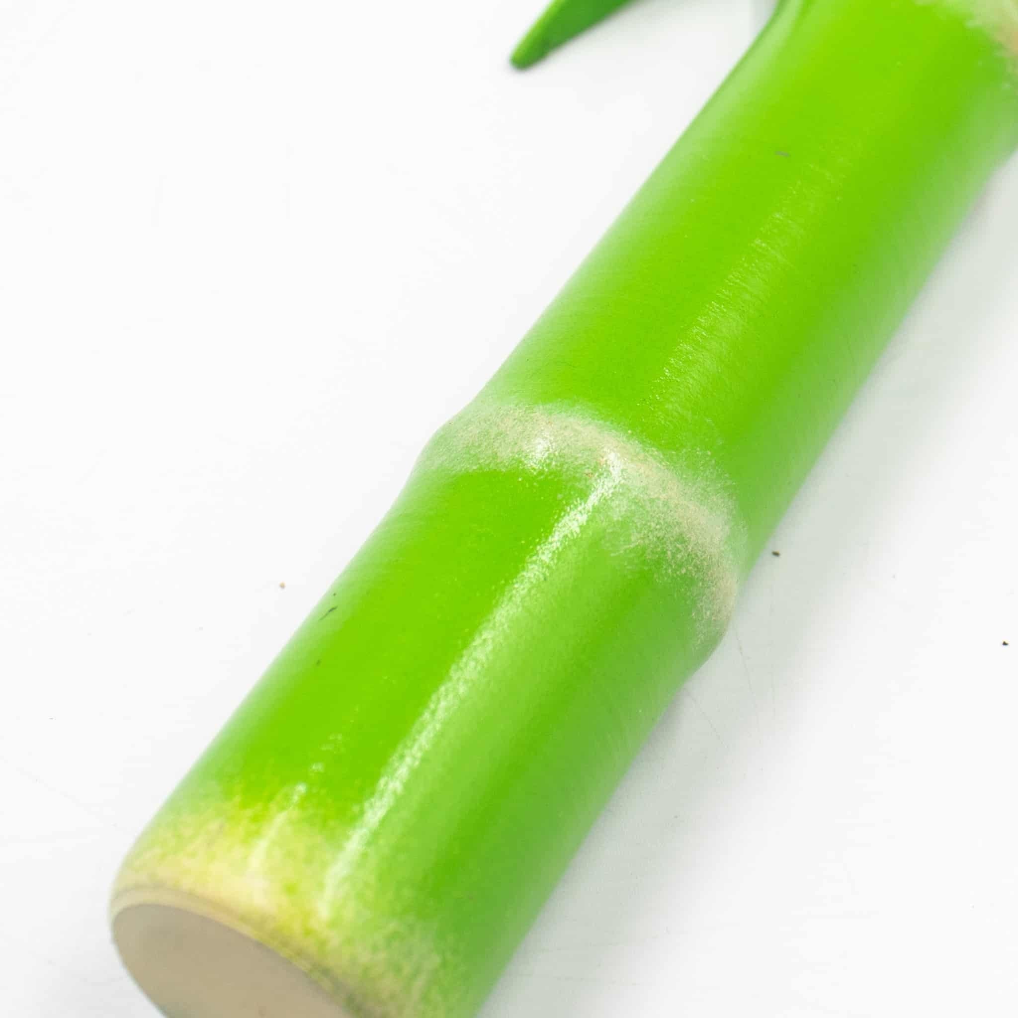 Bamboo Wand Animal Crossing Prop Replica4